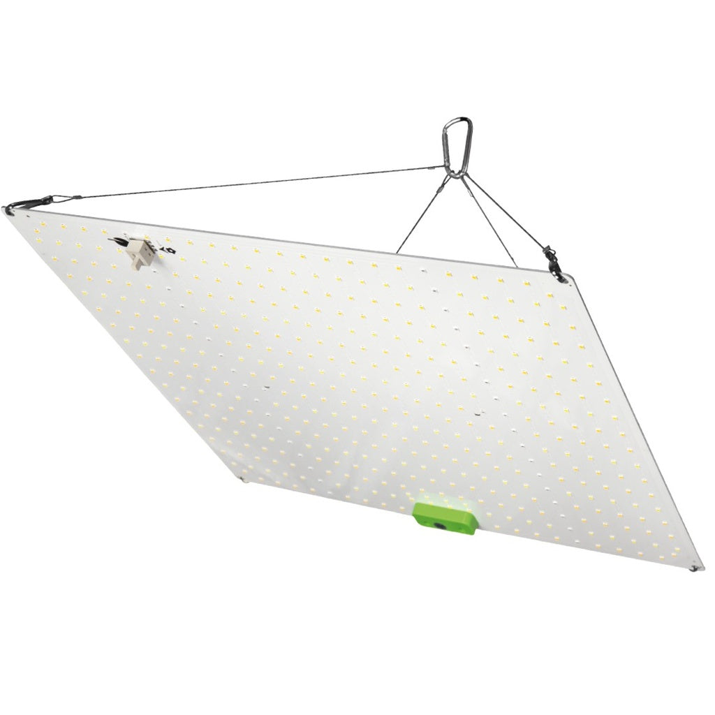 Quantum Board Litha 150W - Hortilight