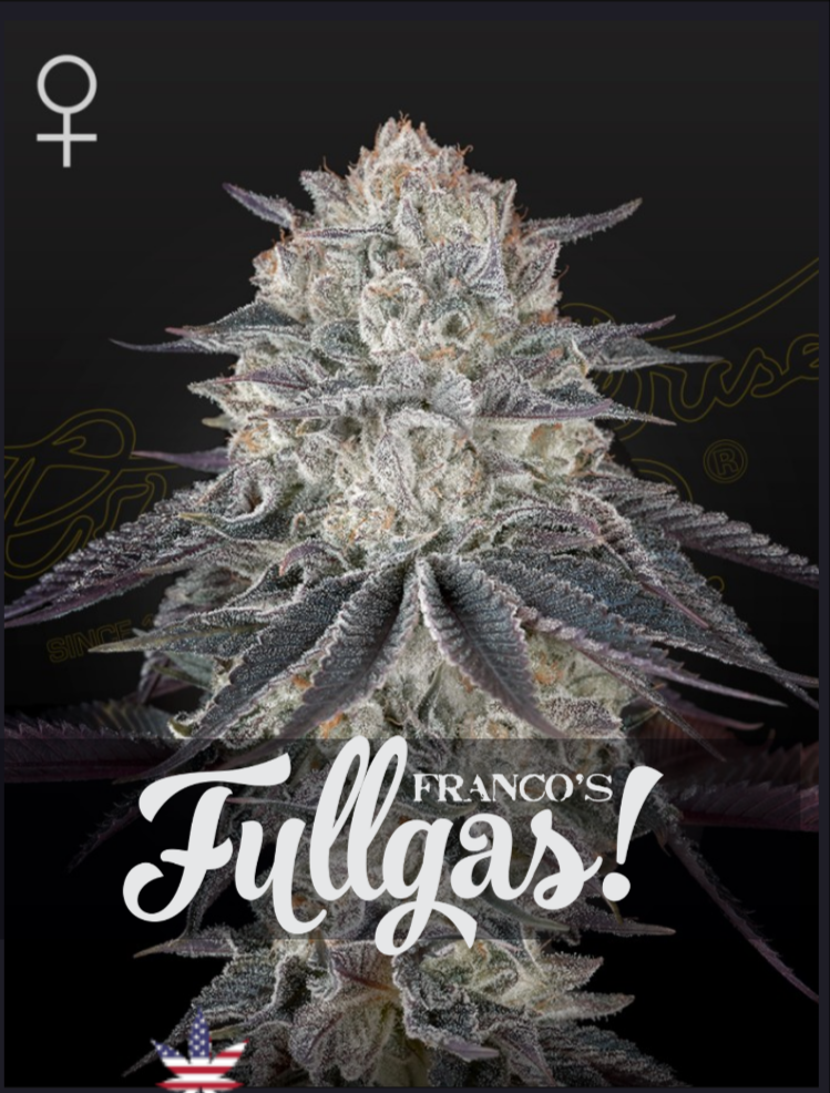 FULLGAS FEM - Green House Seeds