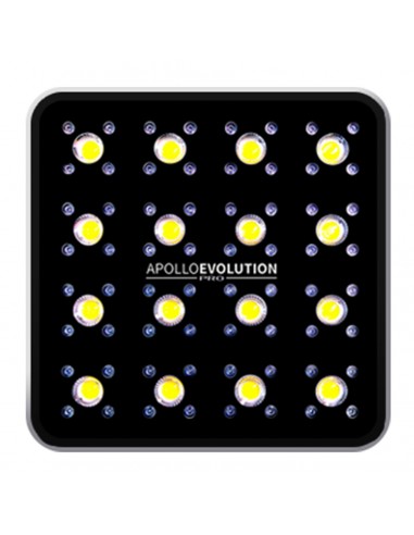 Apollo Evolution Pro 16 480W - Delight