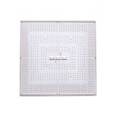 Quantum Square C320 - Delight
