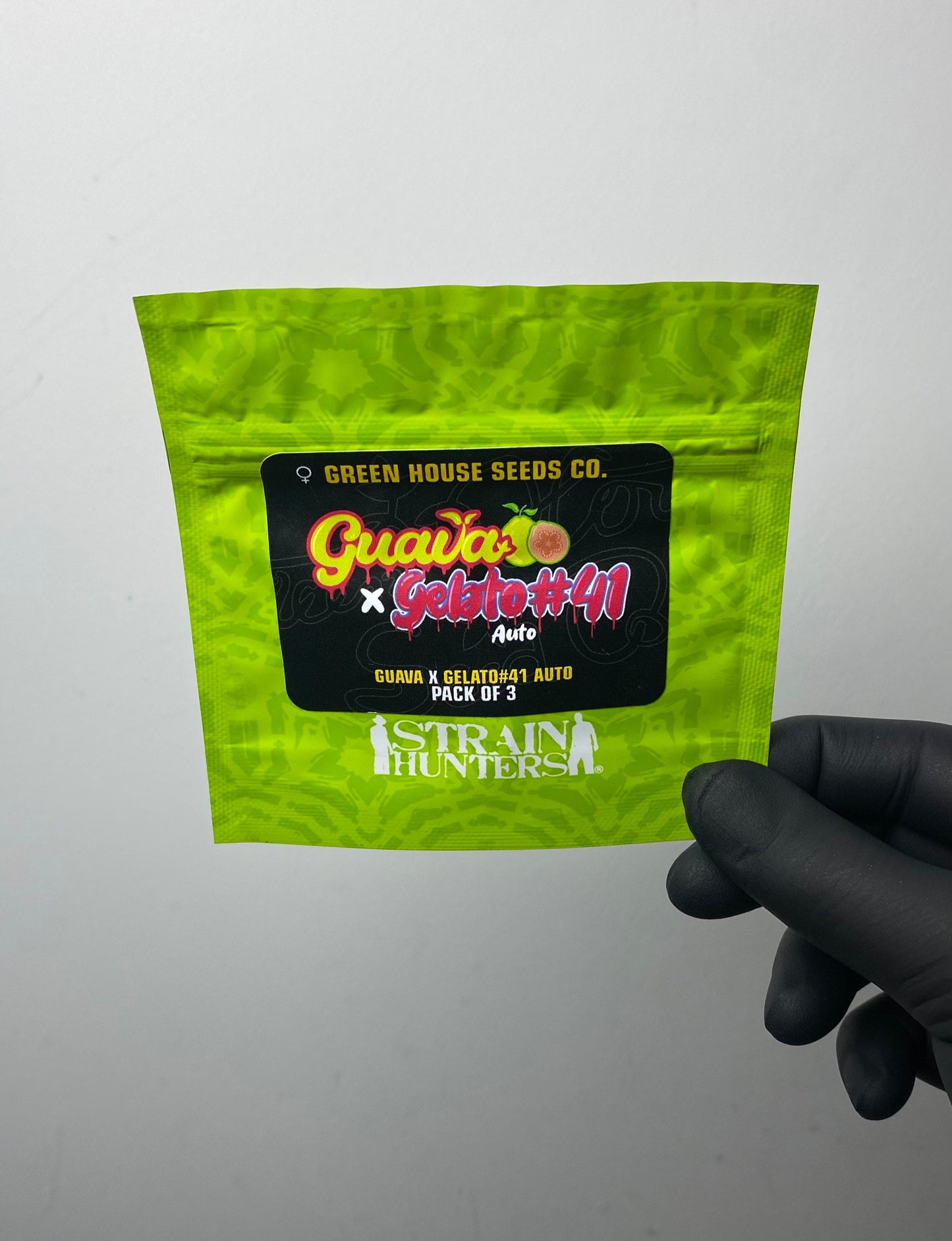 Guava x Gelato #41 AUTO - Green House Seeds