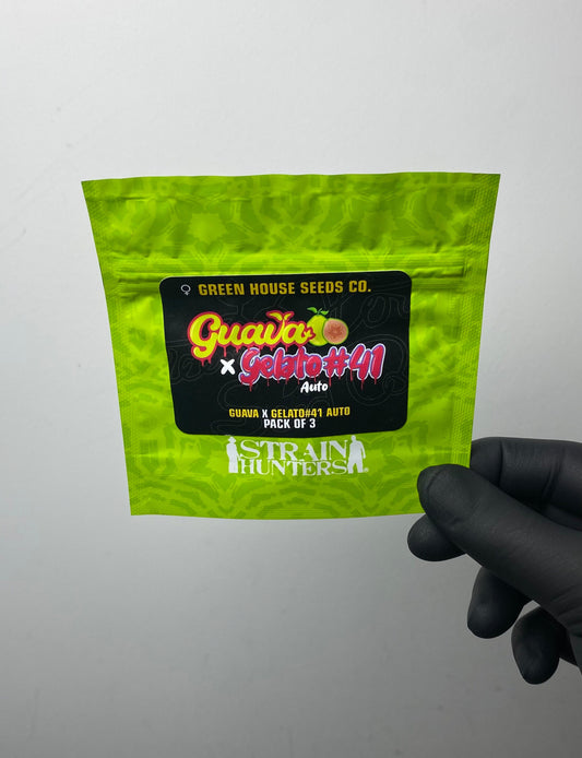 Guava x Gelato #41 AUTO - Green House Seeds