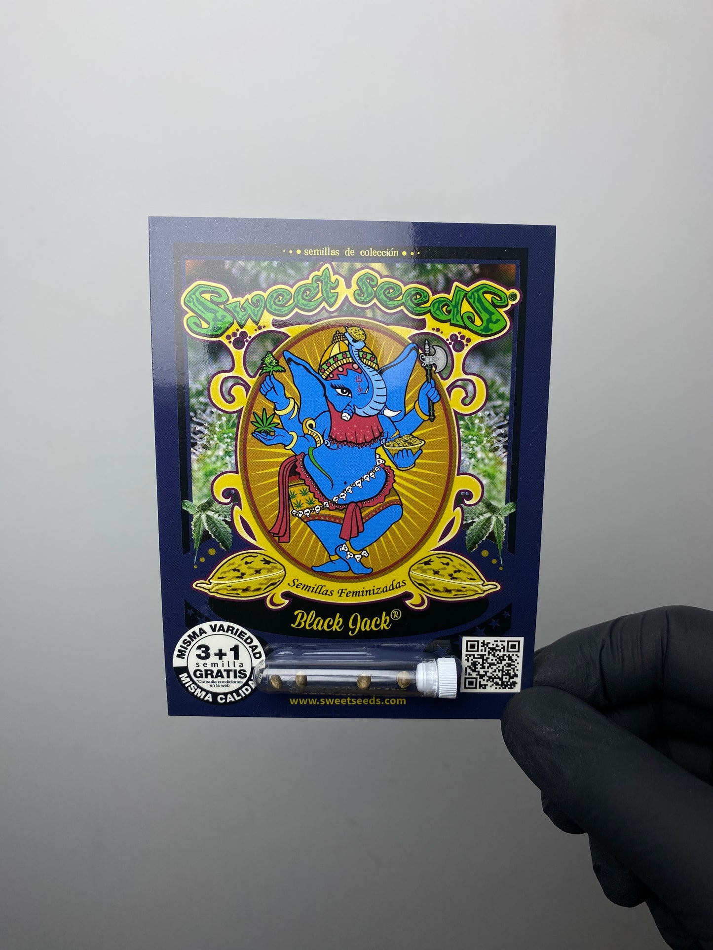Black Jack® FEM - Sweet Seeds