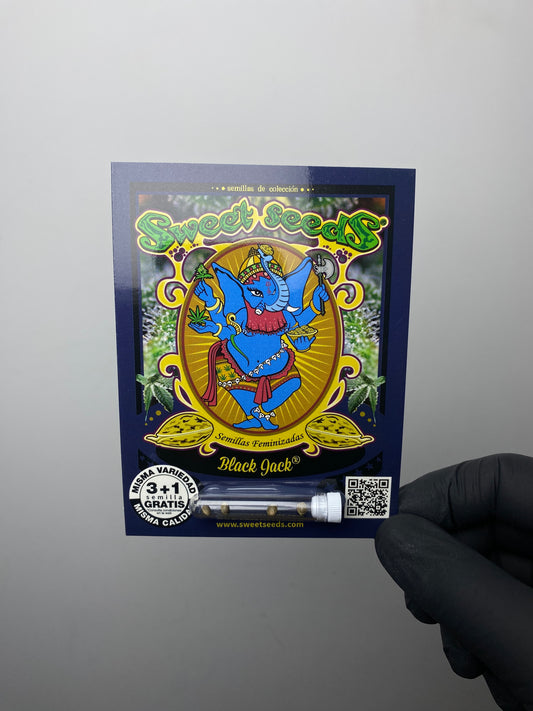 Black Jack® FEM - Sweet Seeds