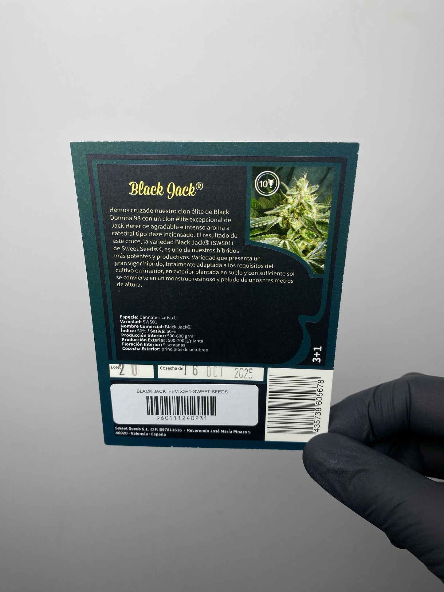 Black Jack® FEM - Sweet Seeds