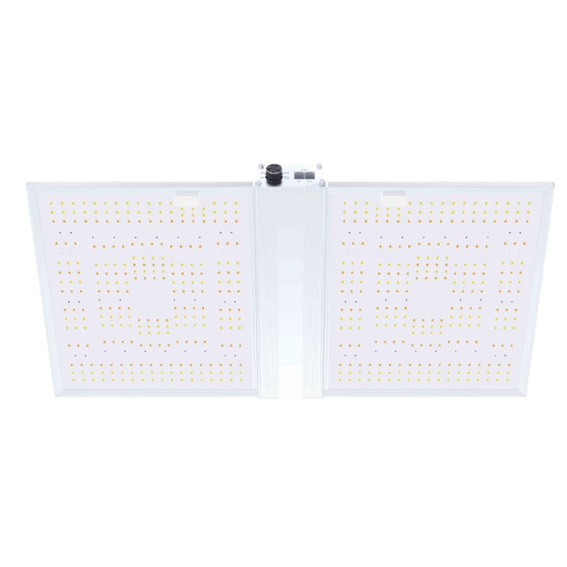 Led Board Quantum 320W - Nanolux