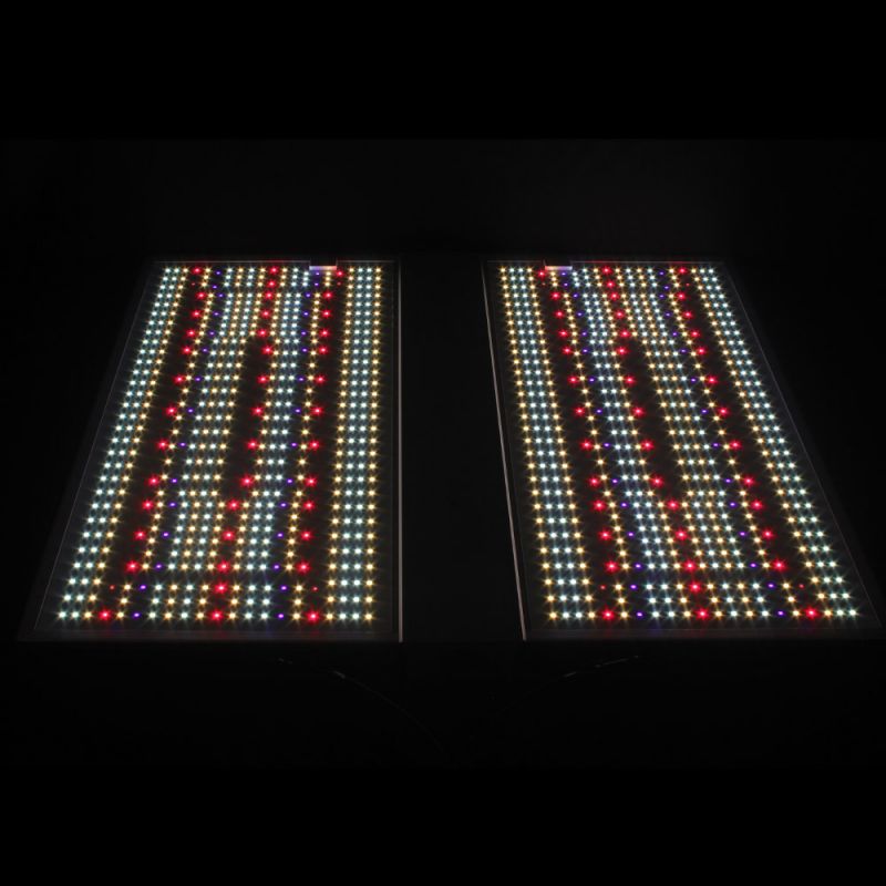 Led Board Quantum 320W - Nanolux