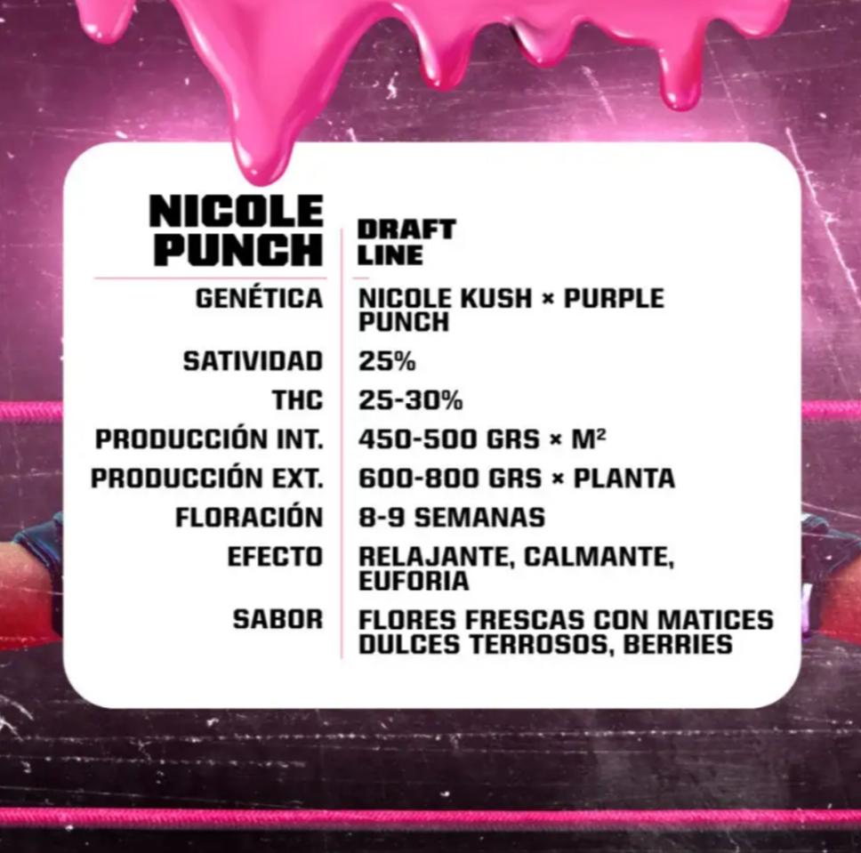 Nicole Punch FEM - BSF