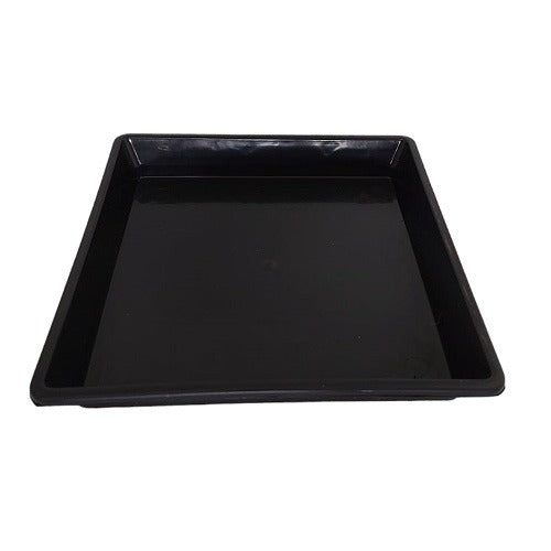 Plato Cuadrado Negro - Tamaños diferentes
