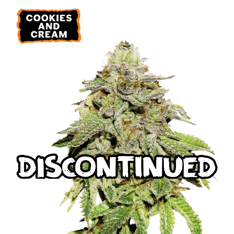 Cookies and Cream  AUTO - Seed Stocker