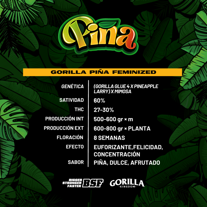Gorilla Piña FEM - BSF