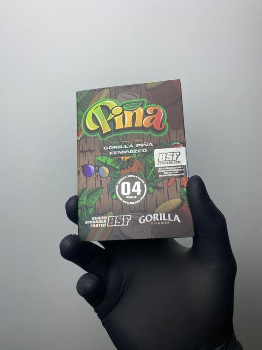 Gorilla Piña FEM - BSF