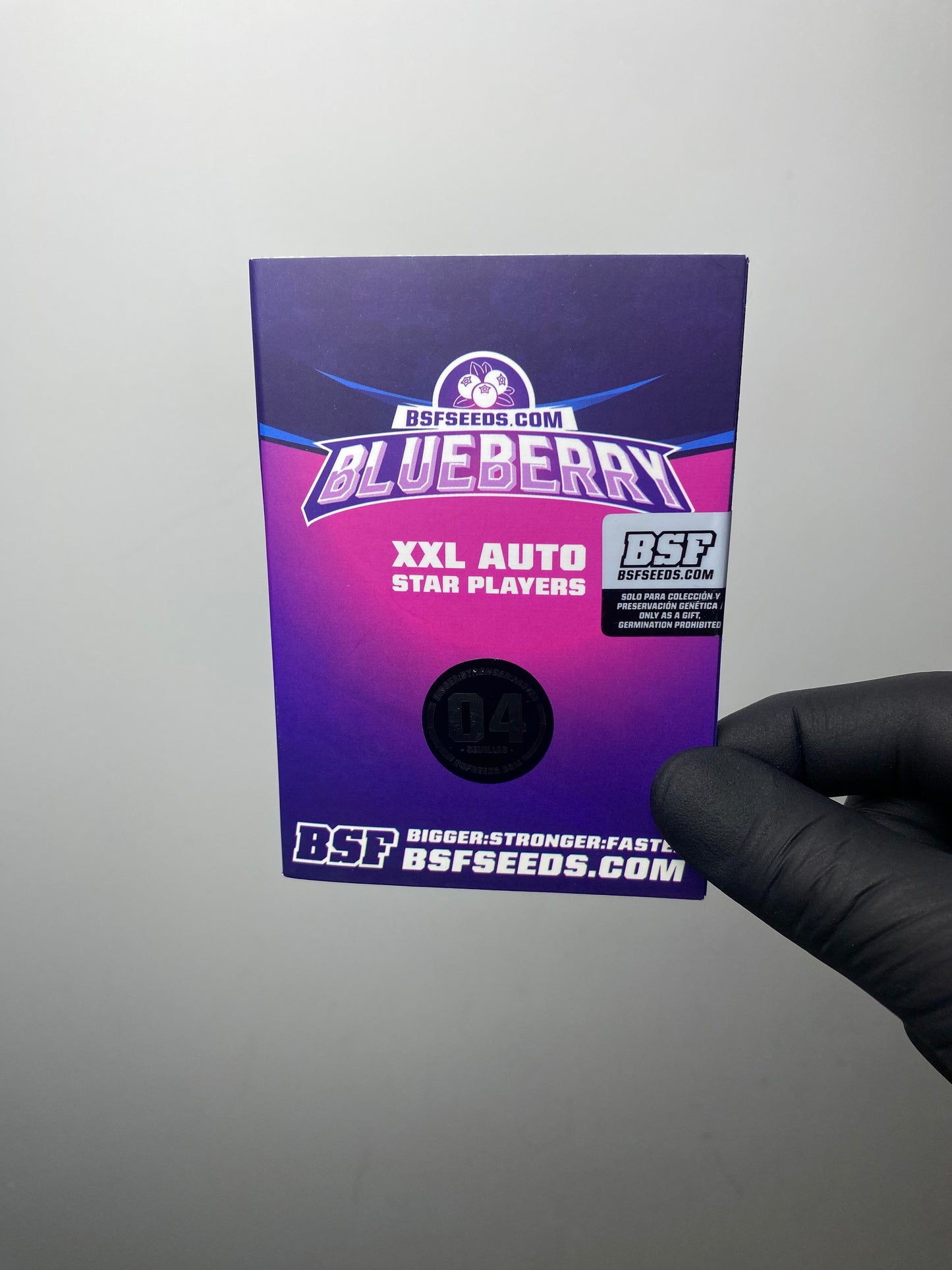 Blueberry XXL Auto - BSF