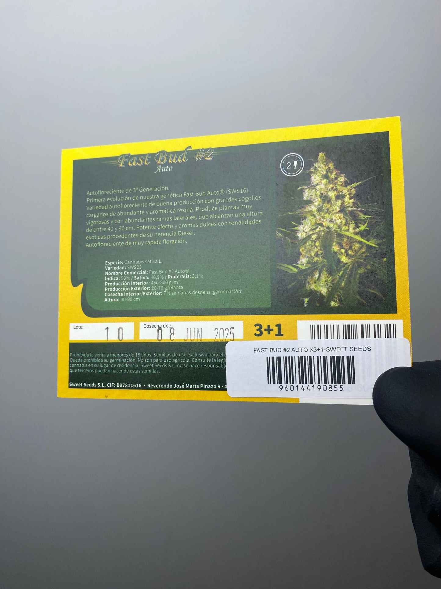 Fast Bud AUTO - Sweet Seeds