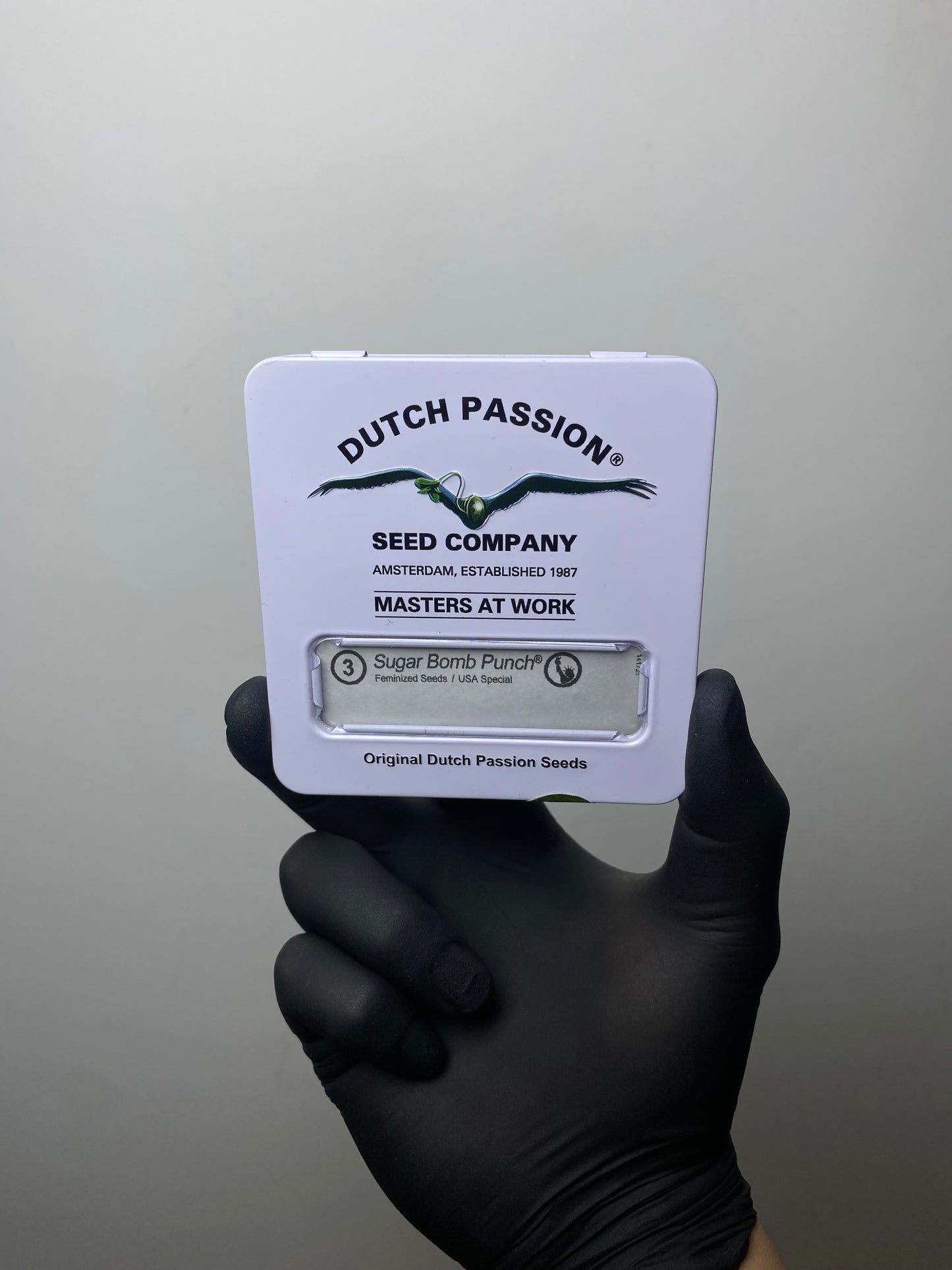 Sugar Bomb Punch FEM - Dutch Passion