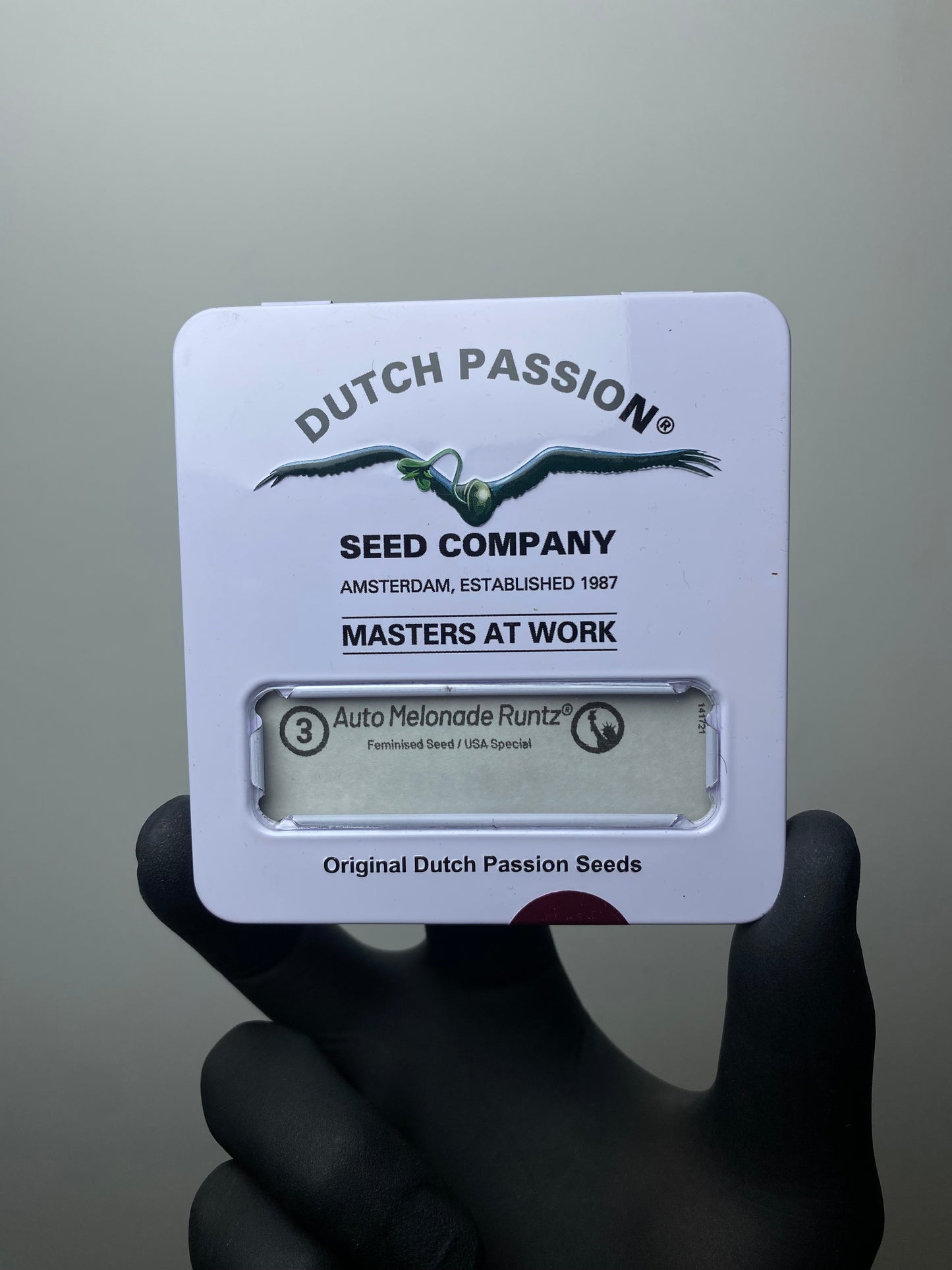 Melonade Runtz AUTO x3  - Dutch Passion