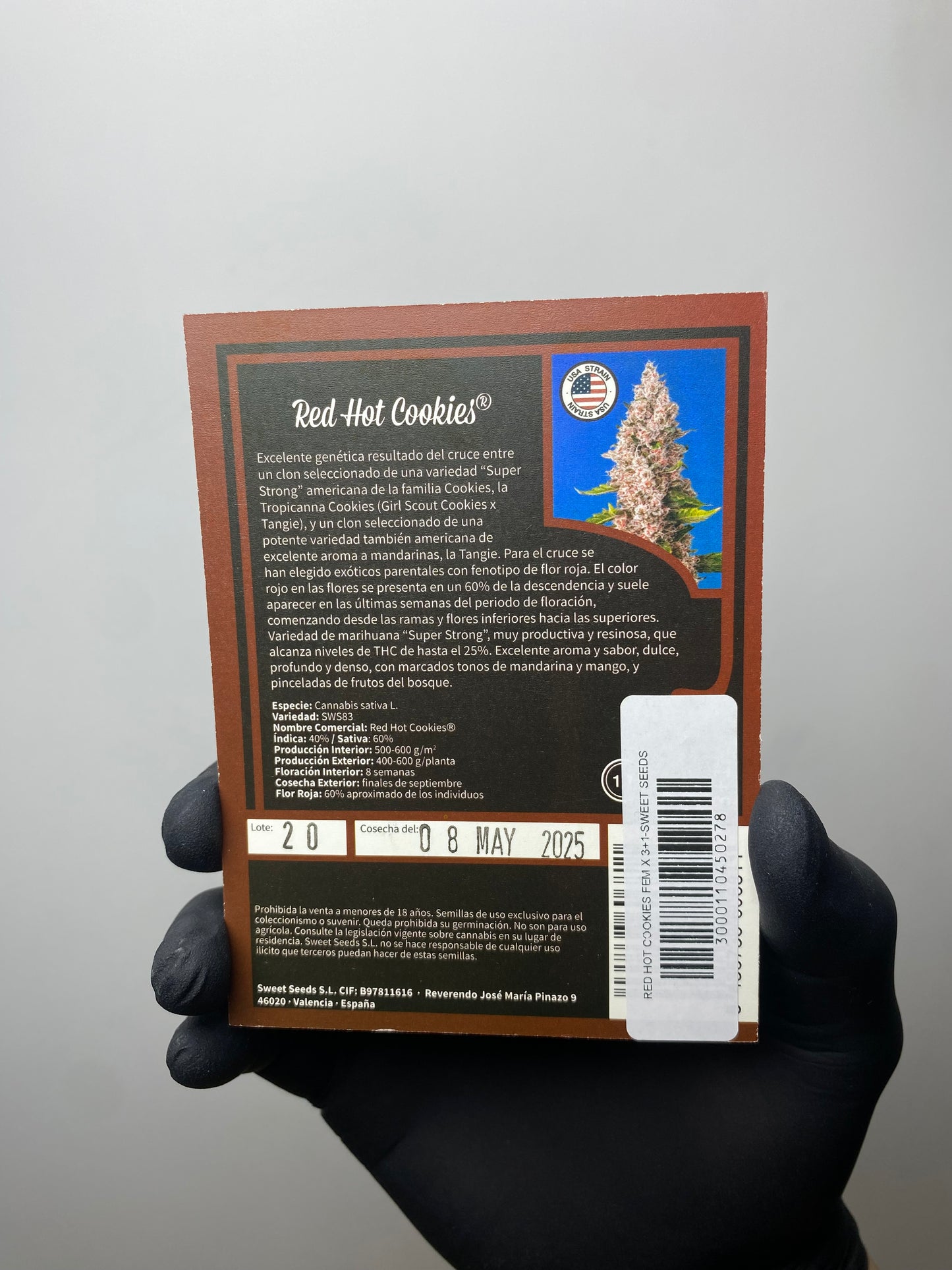 Red Hot Cookies ® FEM - Sweet Seeds