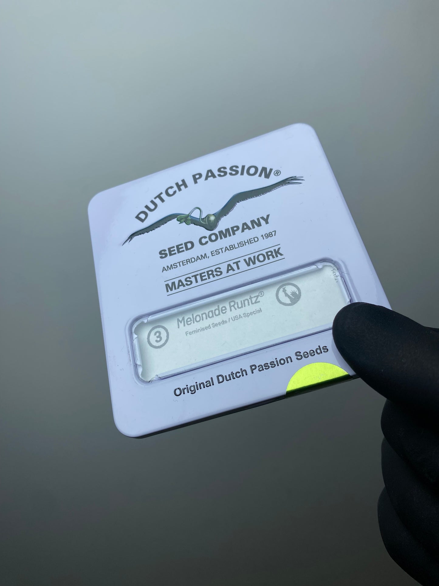 Melonade Runtz FEM x3 - Dutch Passion