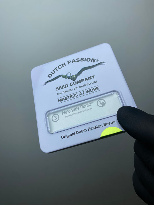 Melonade Runtz FEM x3 - Dutch Passion