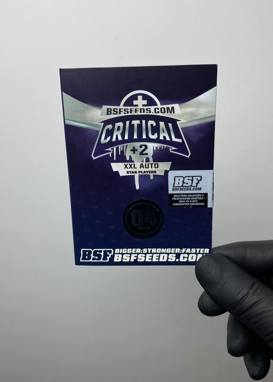 Critical +2 AUTO - BSF