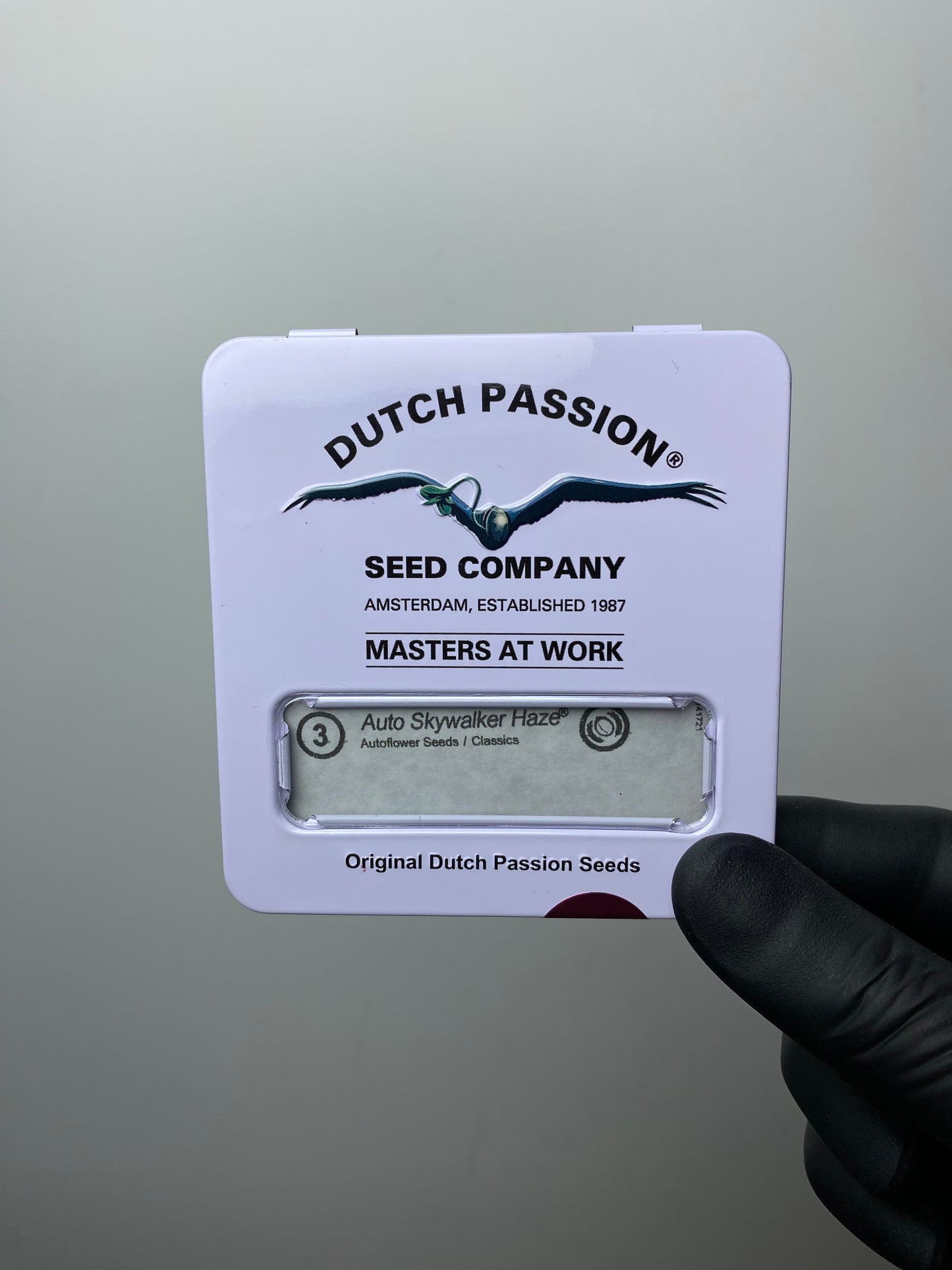 Skywalker Haze AUTO - Dutch Passion