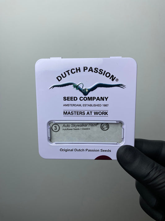 Skywalker Haze AUTO - Dutch Passion