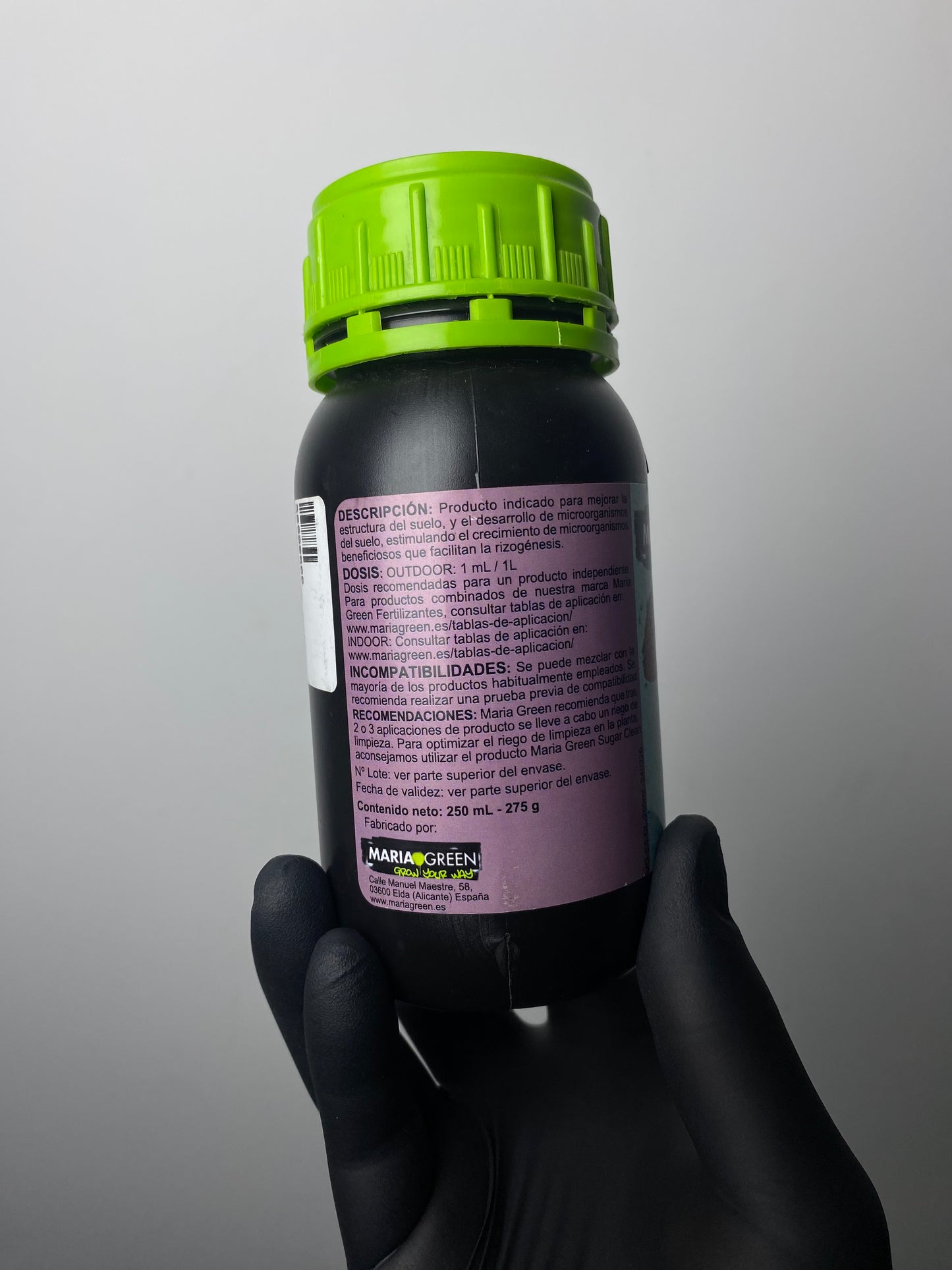 Guardian - Mariagreen