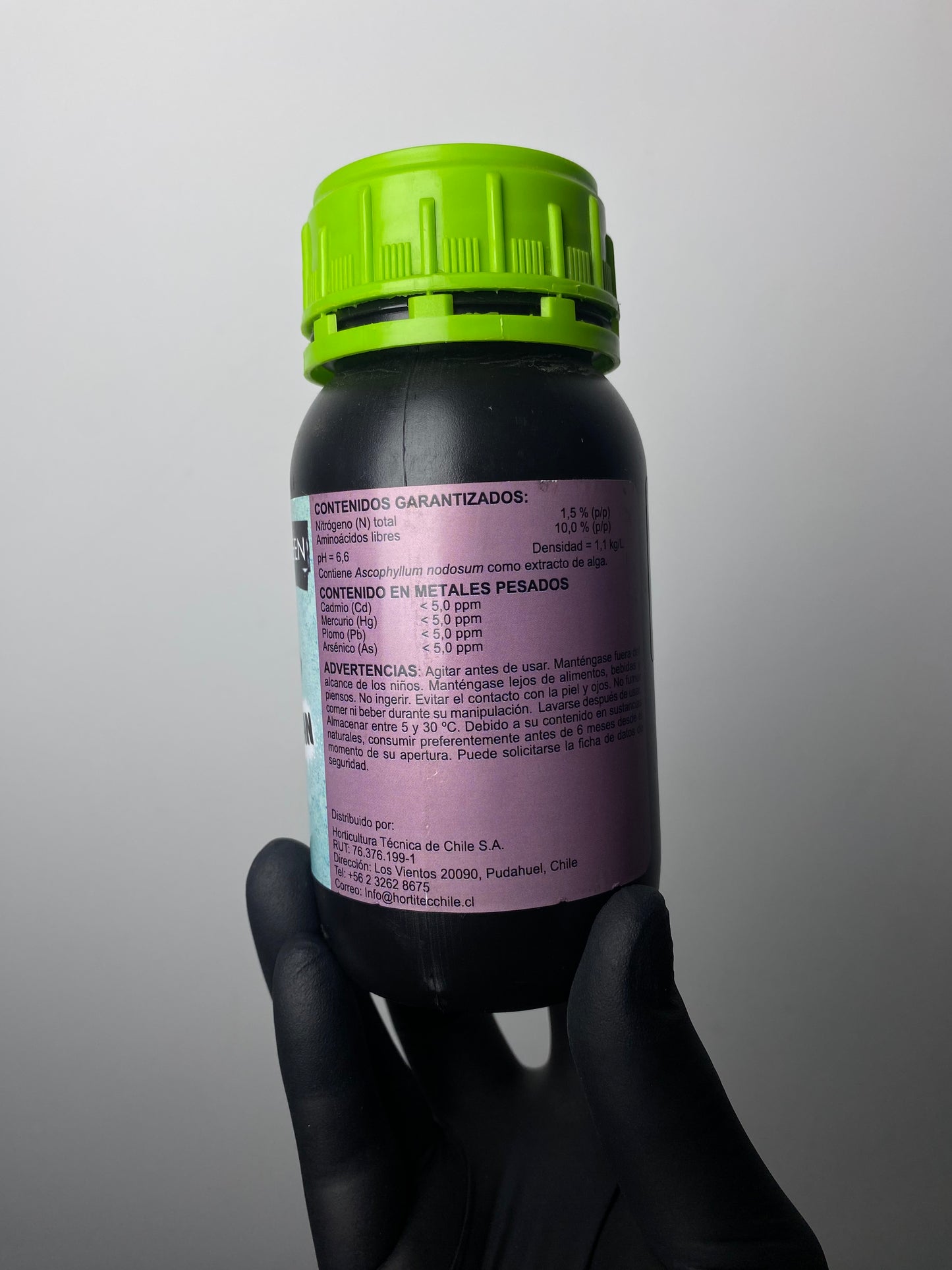 Guardian - Mariagreen