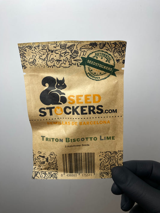 Triton Biscotto Lime© AUTO - Seedstockers