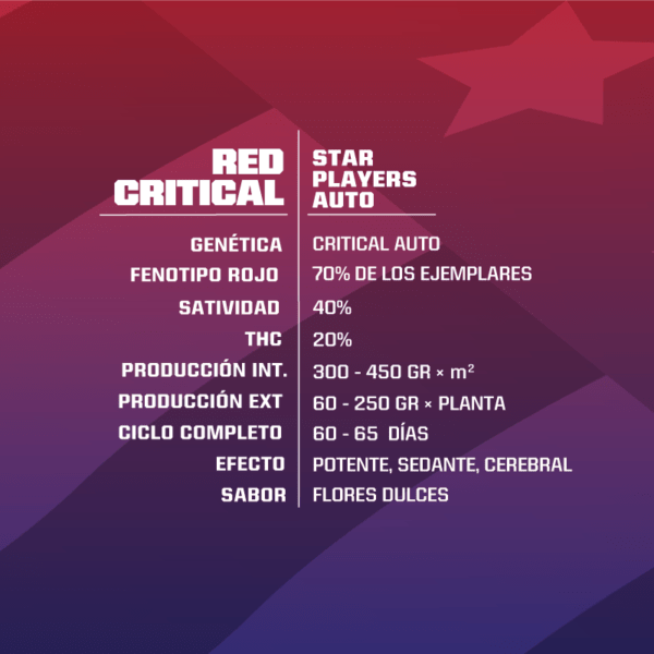 Red Critical Auto - BSF