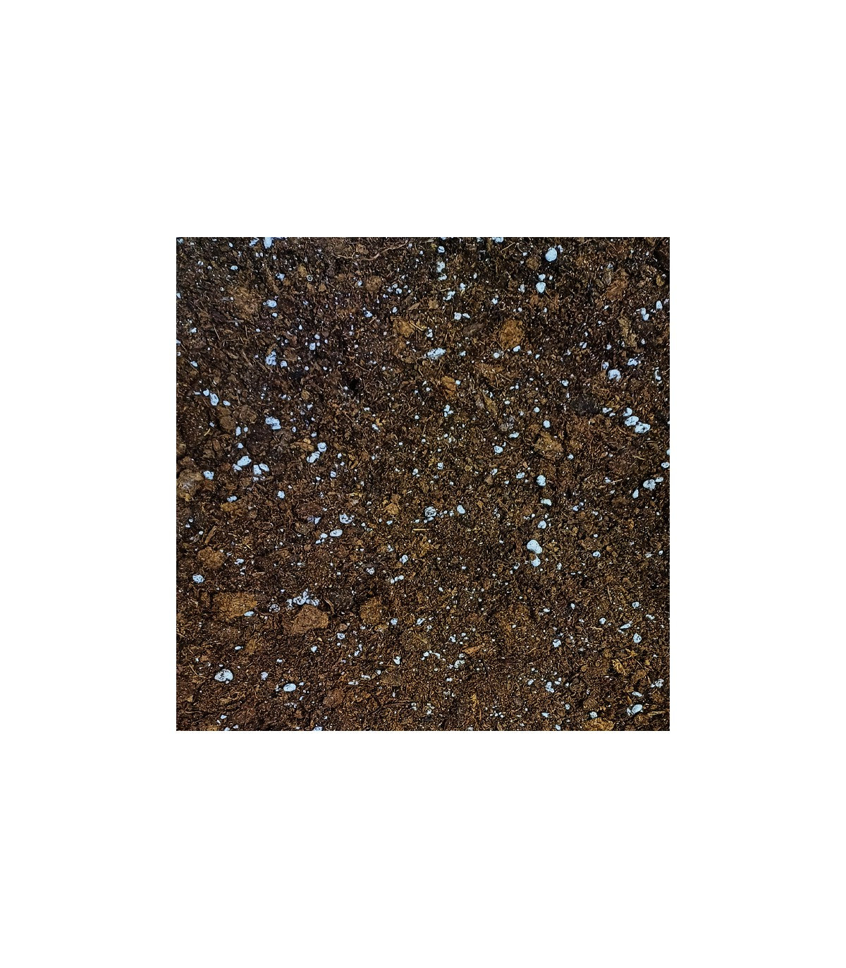 Light Mix 50 litros - Solvika Peat Moss